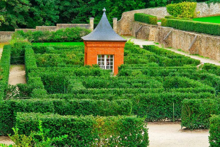 Le labyrinthe aux mille buis