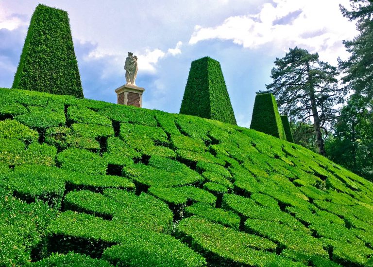 Mosaïque de buis des jardins de Breteuil